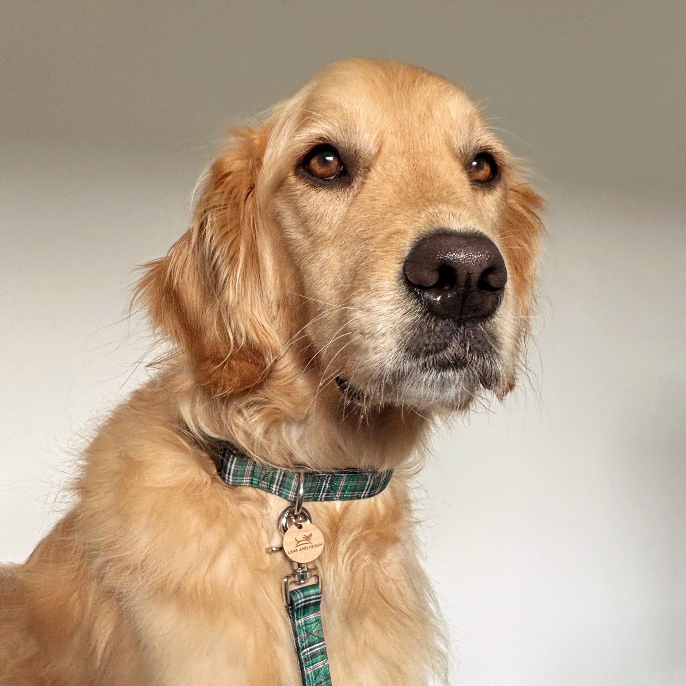 Green Plaid Dog Collar