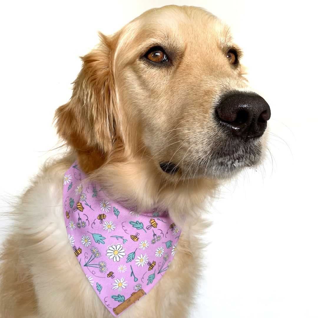 Bee Days Dog Bandana