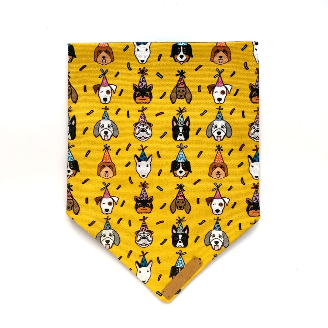 Barkday Pawty Dog Bandana