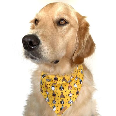 Barkday Pawty Dog Bandana