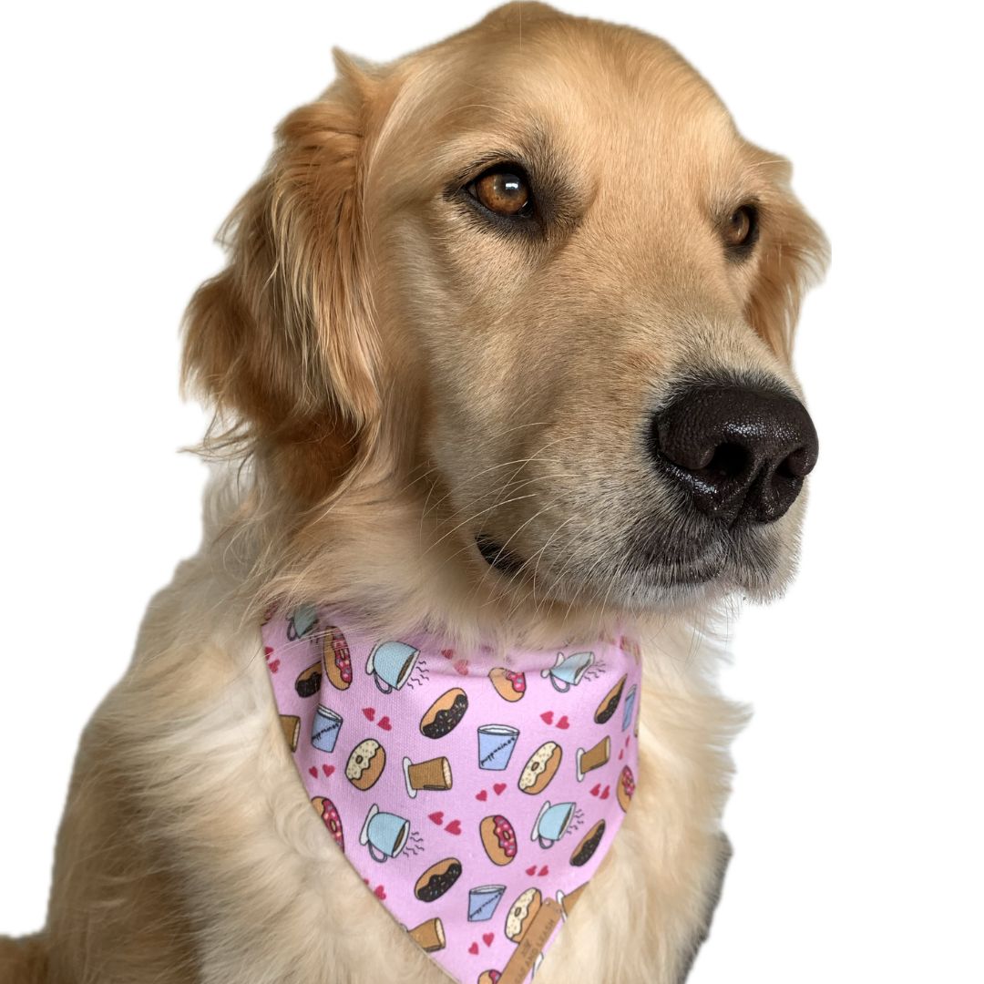 Sweetest Brunch Date Dog Bandana