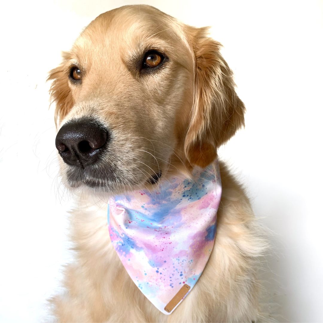 Cotton Candy Clouds Dog Bandana