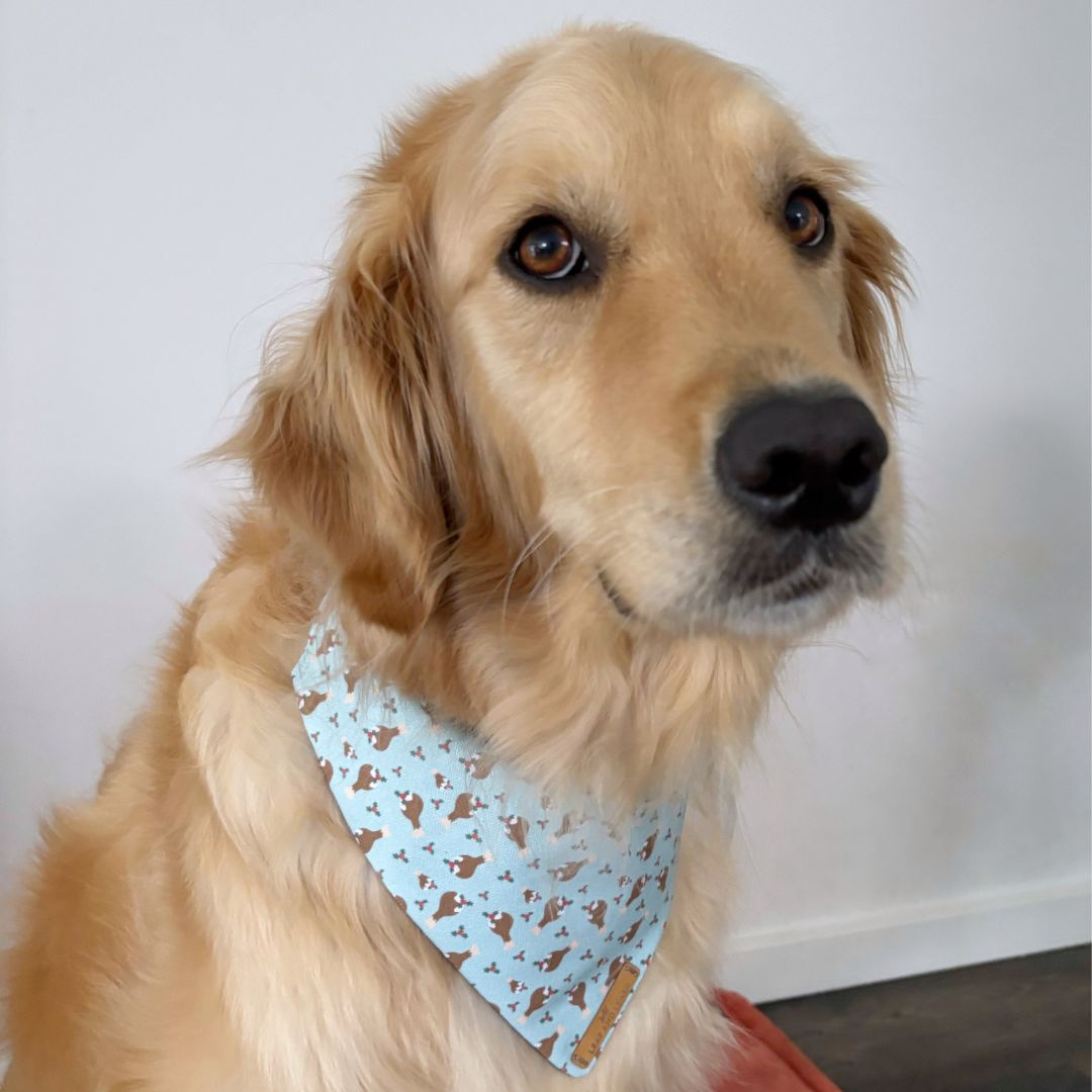 Christmas Chimken Dog Bandana