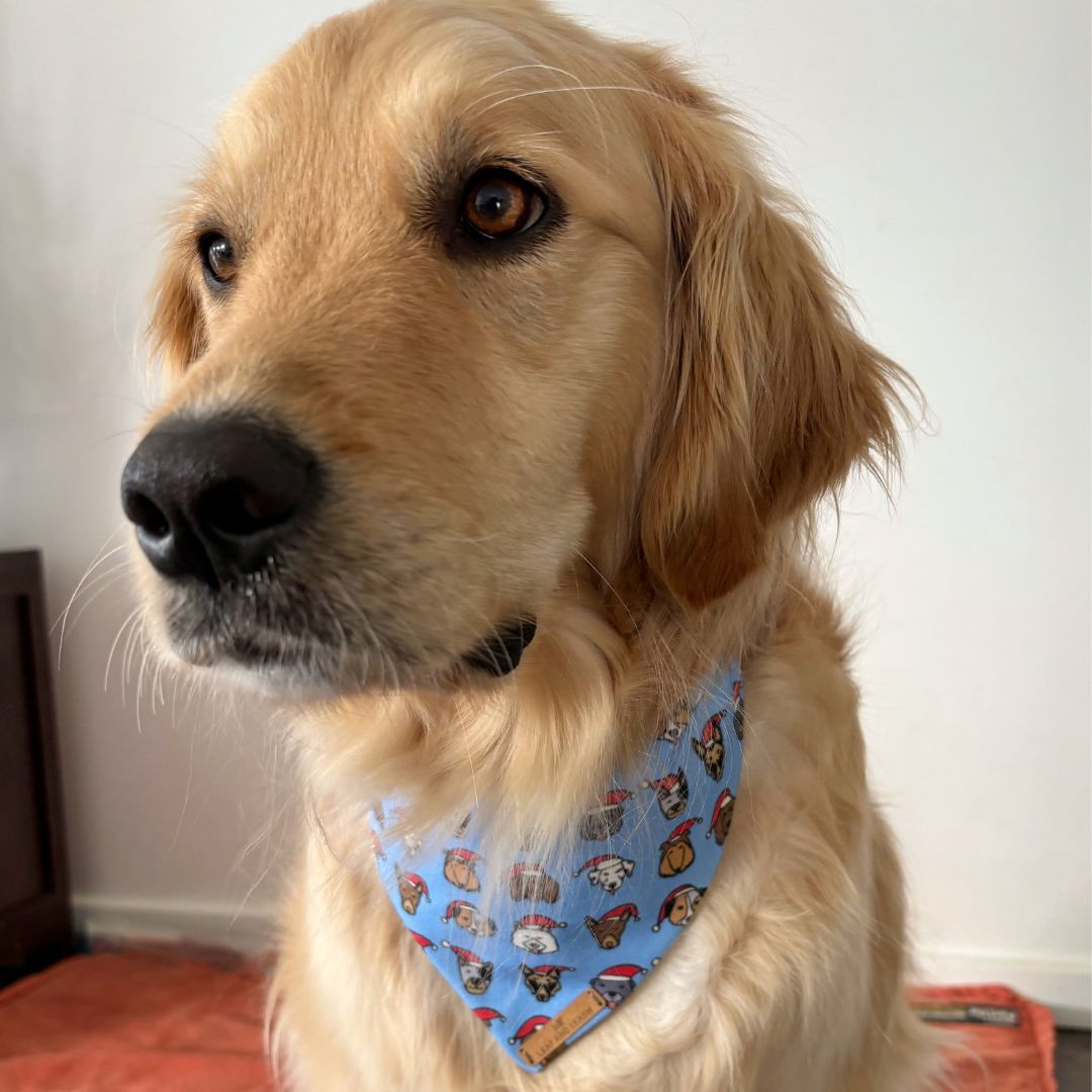 Furbub Blue Dog Bandana