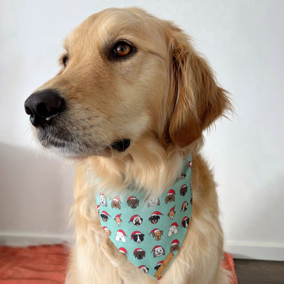 Green dog bandana best sale