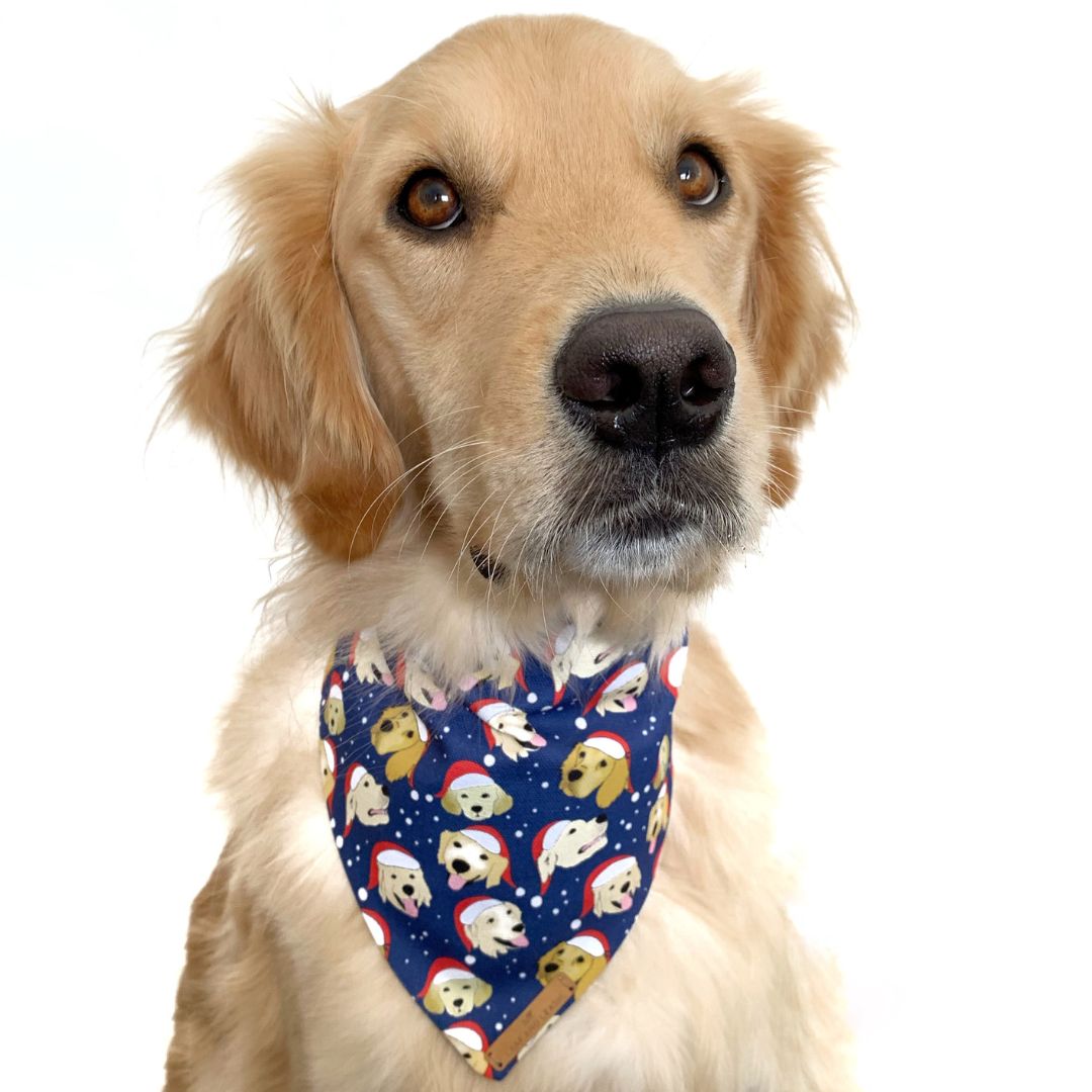 GOLD RUSH Christmas Goldie Bandana - Navy