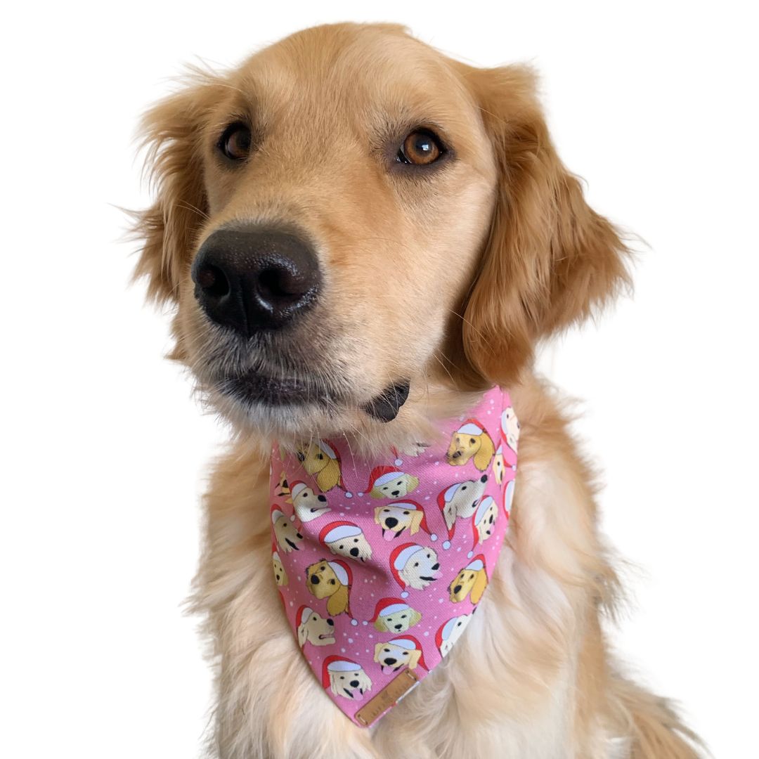 GOLD RUSH Christmas Goldie Bandana - Pink