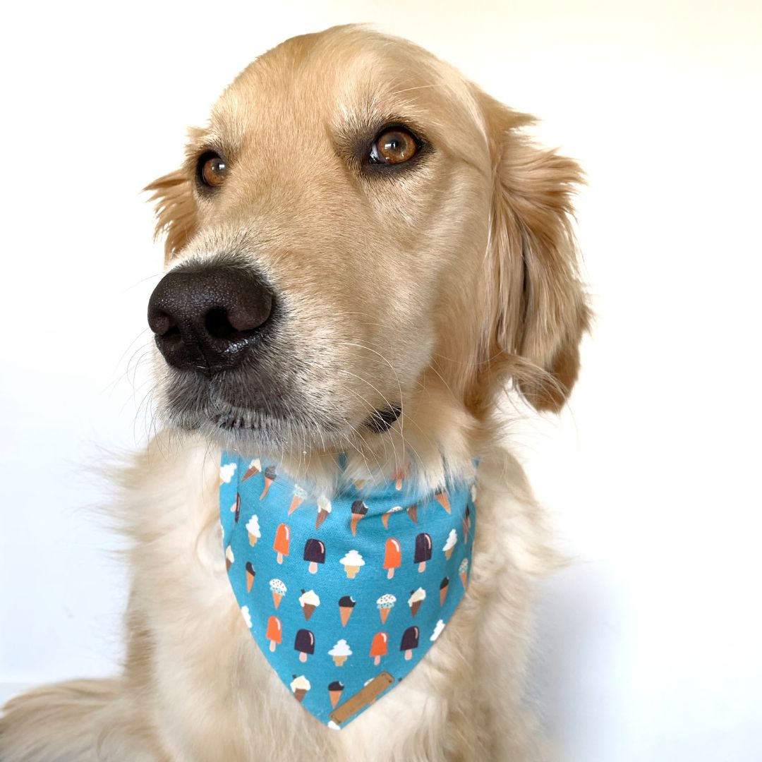 Ice Cream Pawty Dog Bandana – Leaf and Leash - Main Image