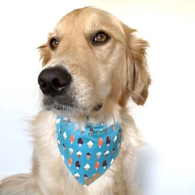 Ice Cream Pawty Dog Bandana