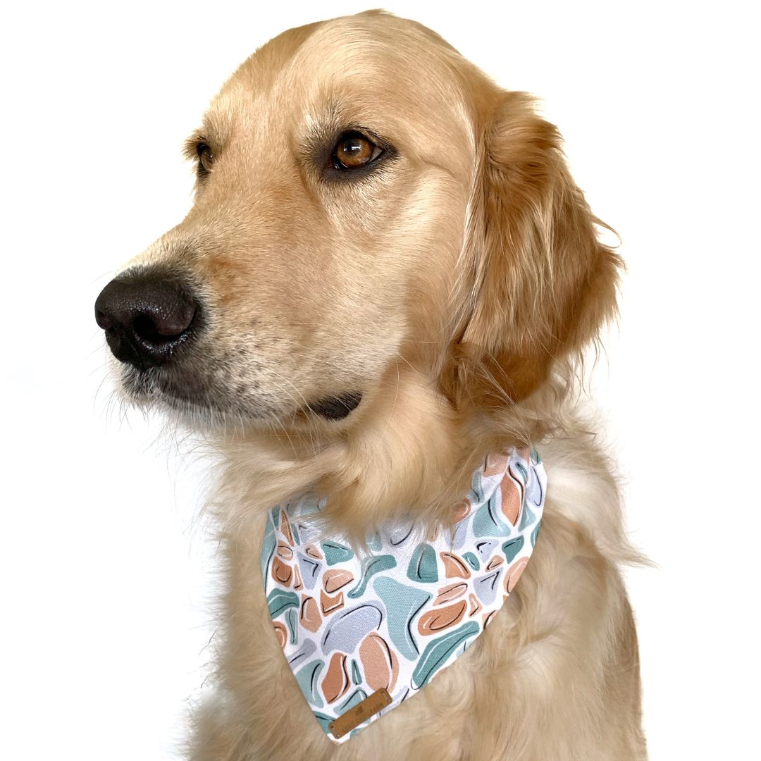 Jelly Brick Road Dog Bandana