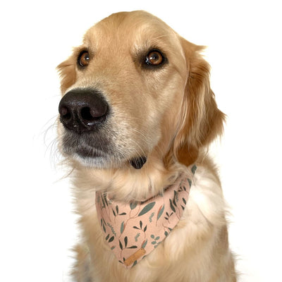 Nature Walkies Dog Bandana