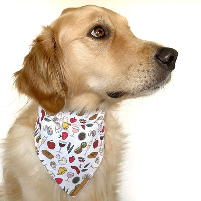 Let's Picnic! Dog Bandana