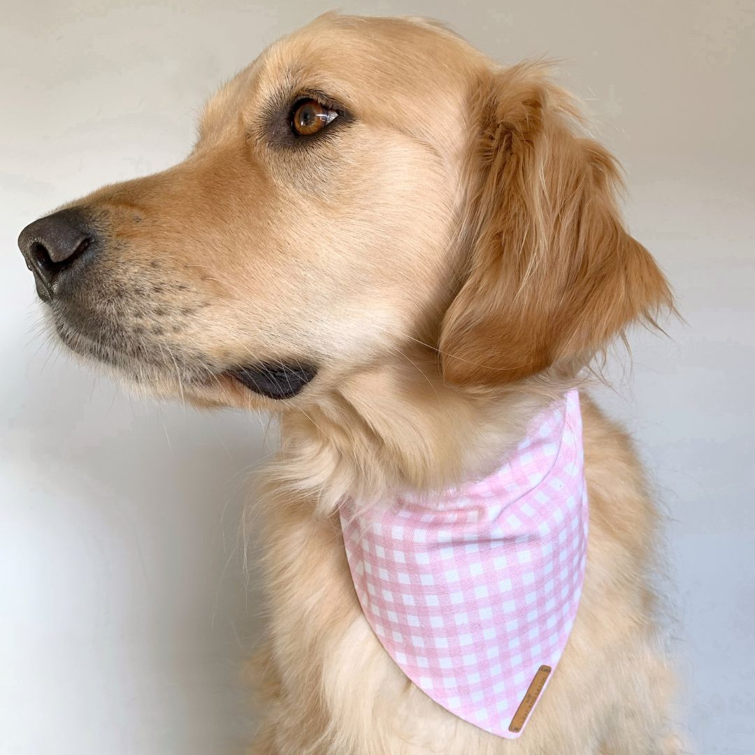 Pastel Pink Dog Bandana