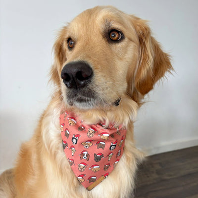 Red Pawty Hats Dog Bandana