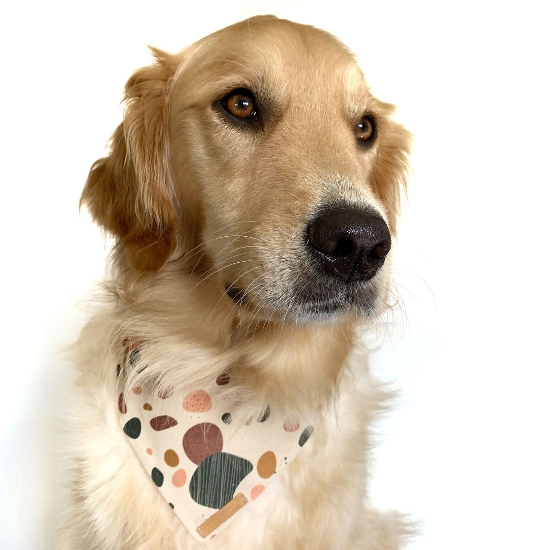 Sandy Pebbles Dog Bandana