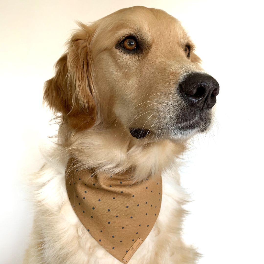 Soil and Seeds Dog Bandana