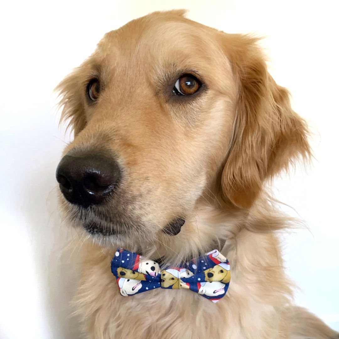 CHRISTMAS Goldie Bow Tie - Navy