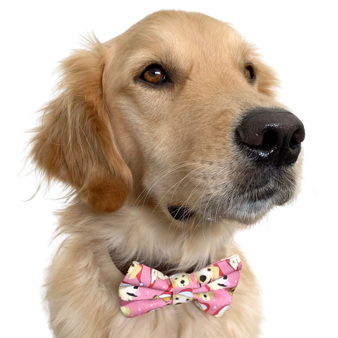 CHRISTMAS Goldie Bow Tie - Pink