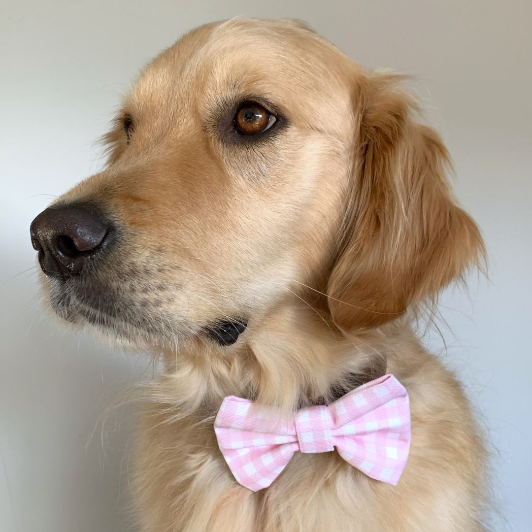 Pastel Pink Dog Bow Tie