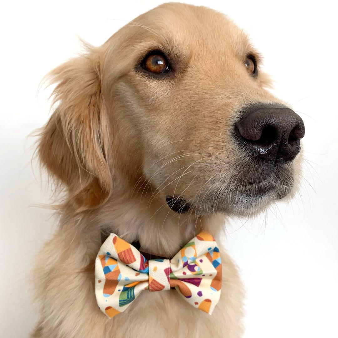 Sock Obsession Dog Bow Tie