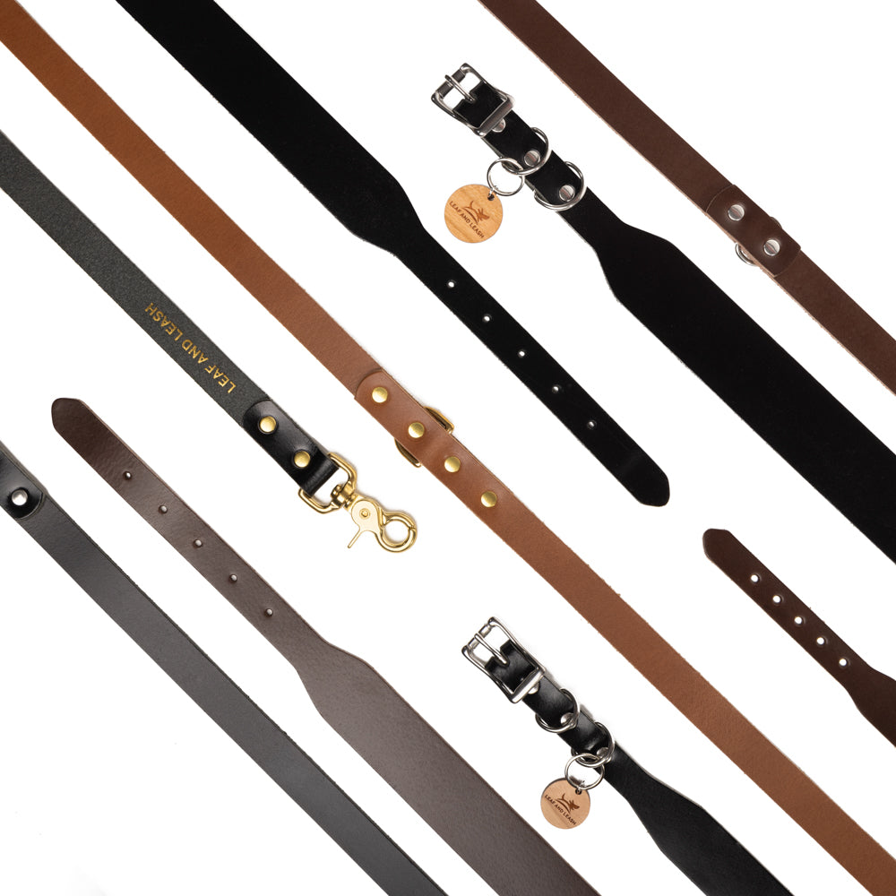Dog leads or leashes, and dog collars made of brown leather and brass or stainless steel hardware