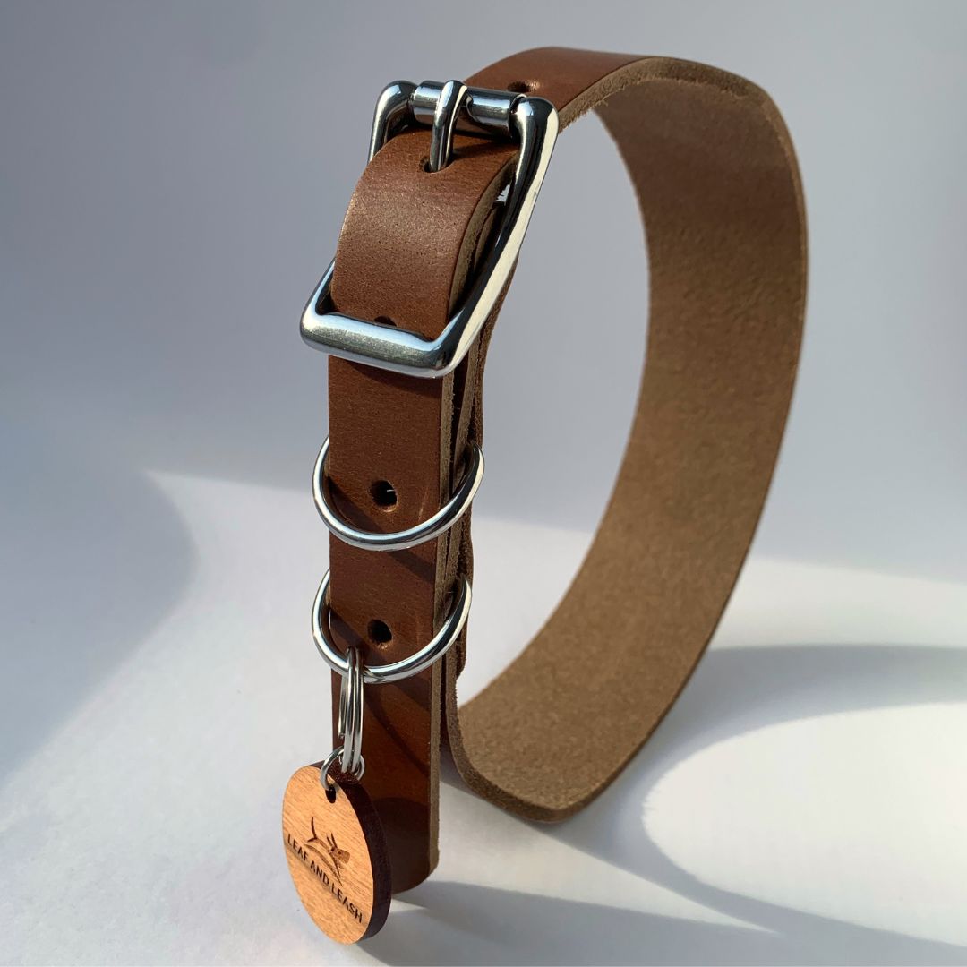 Leather Dog Collar - Tan & Stainless Steel