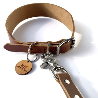 Leather Dog Collar - Tan & Stainless Steel