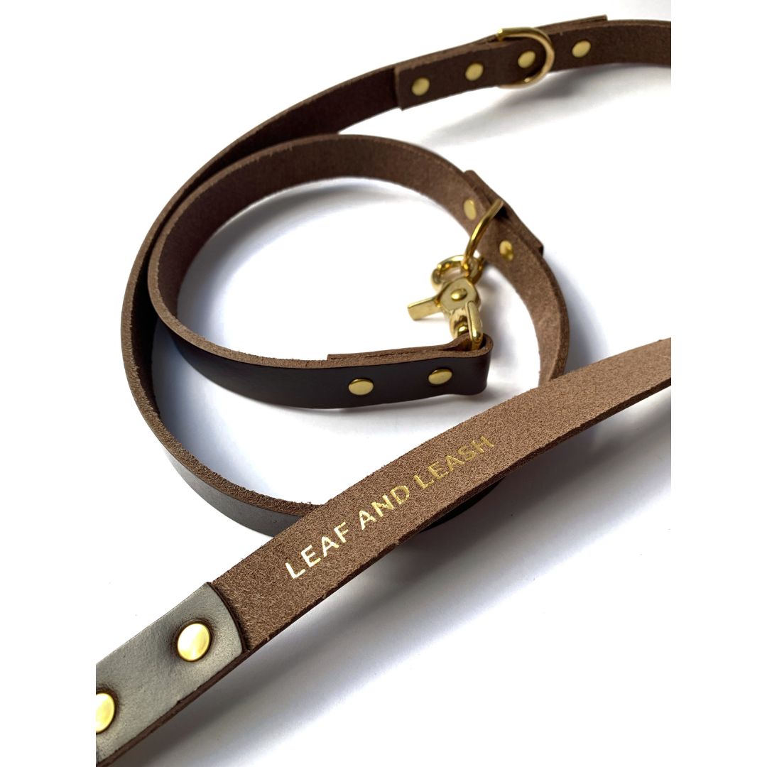 Adjustable Leather Dog Leash - Dark Brown & Brass