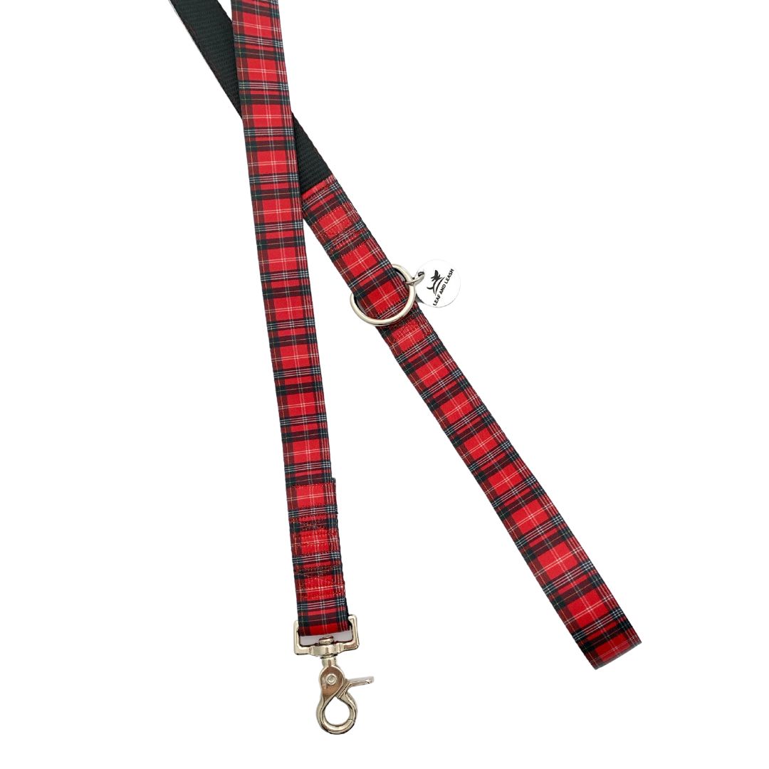 Red My Mind Dog Leash