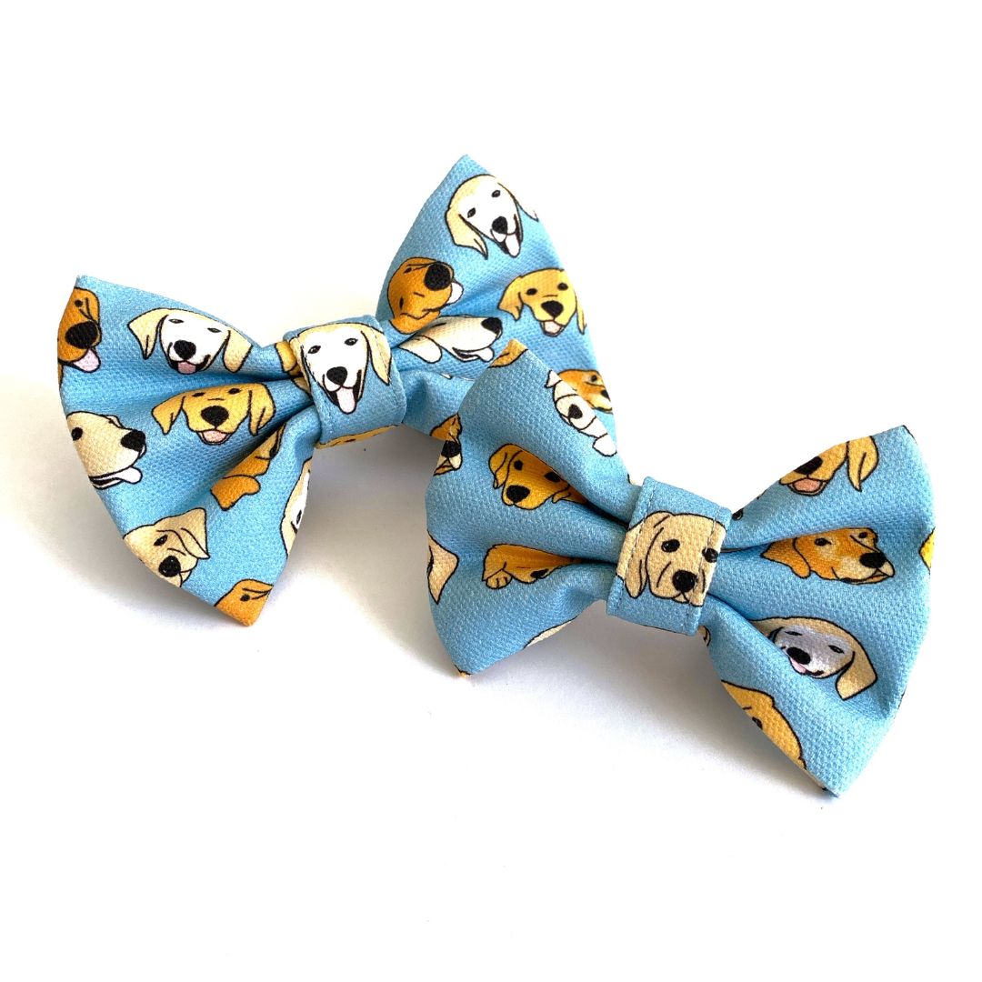 GOLD RUSH Goldie Bow Tie - Blue