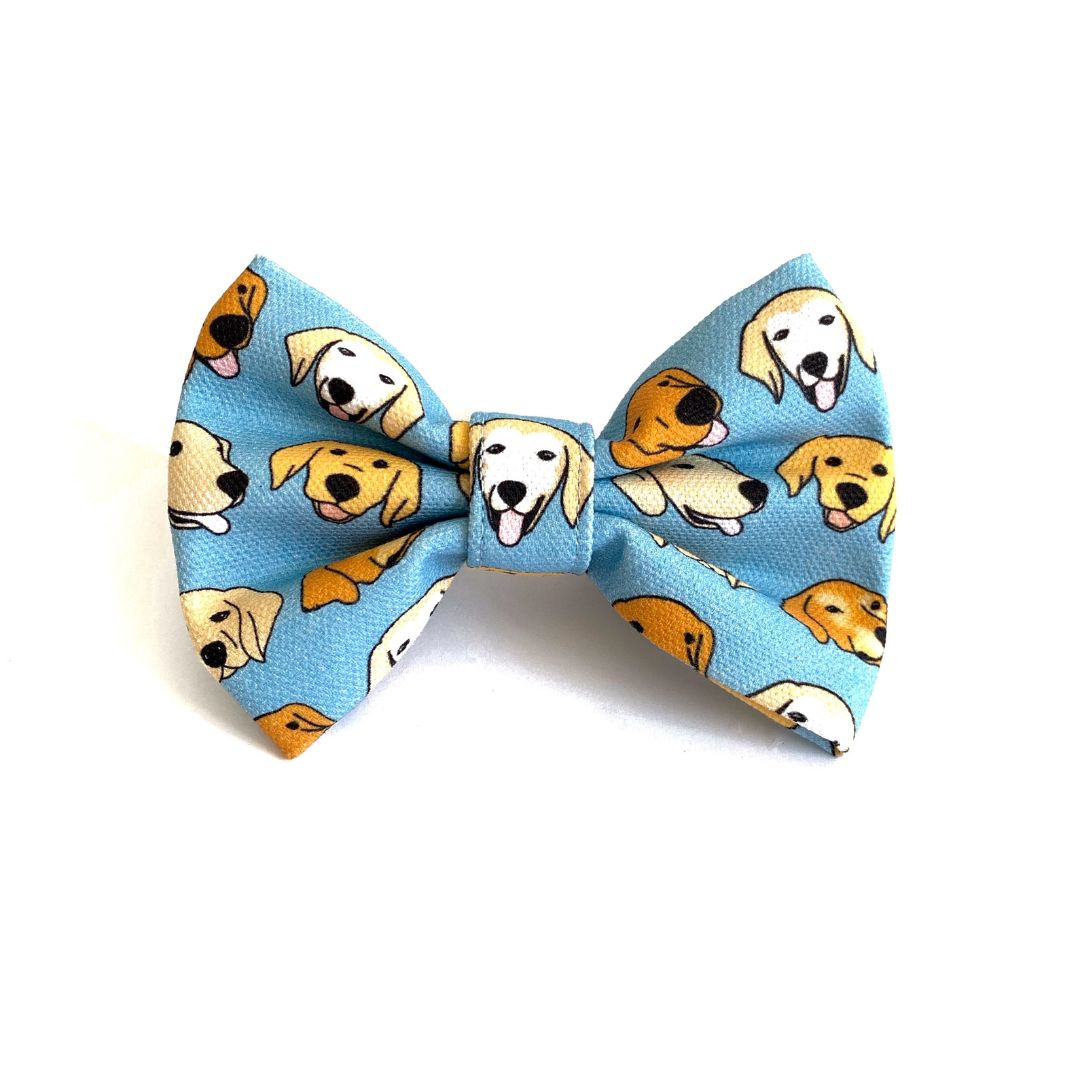 GOLD RUSH Goldie Bow Tie - Blue