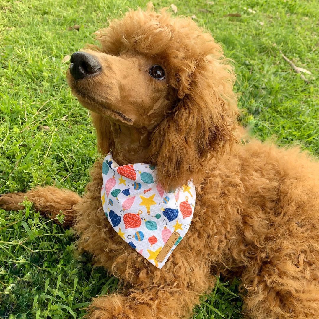 Found My Baubles Dog Bandana