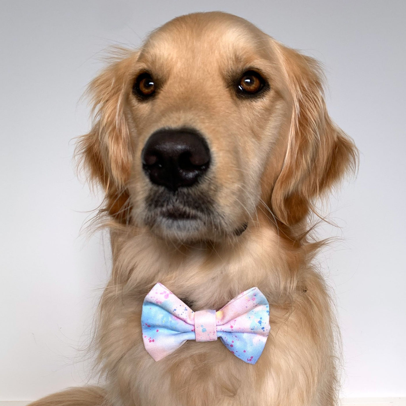 Cotton Candy Clouds Dog Bow Tie