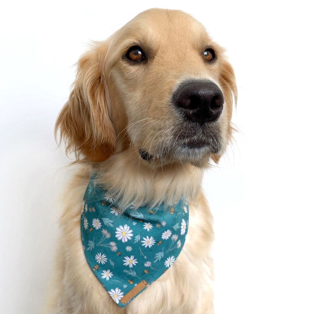 Green Bee Days Dog Bandana