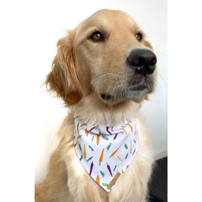 Crunchy Carrots Dog Bandana