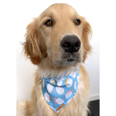 Floral Eggs Dog Bandana