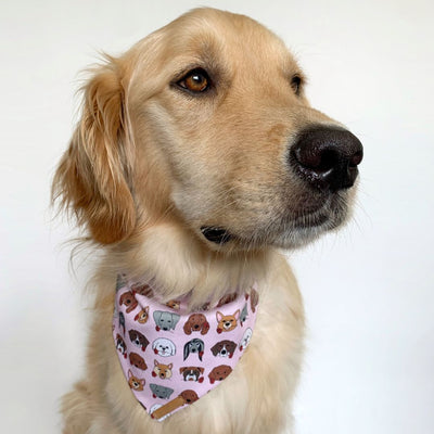 Pups & Roses Dog Bandana