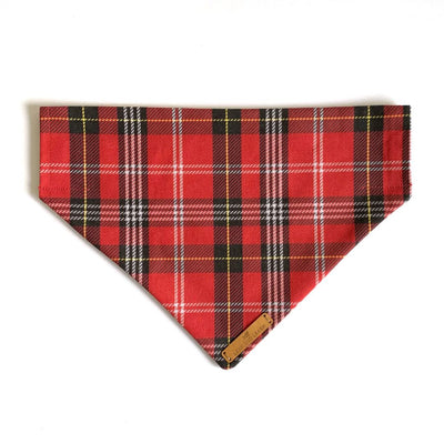 Red My Mind Dog Bandana