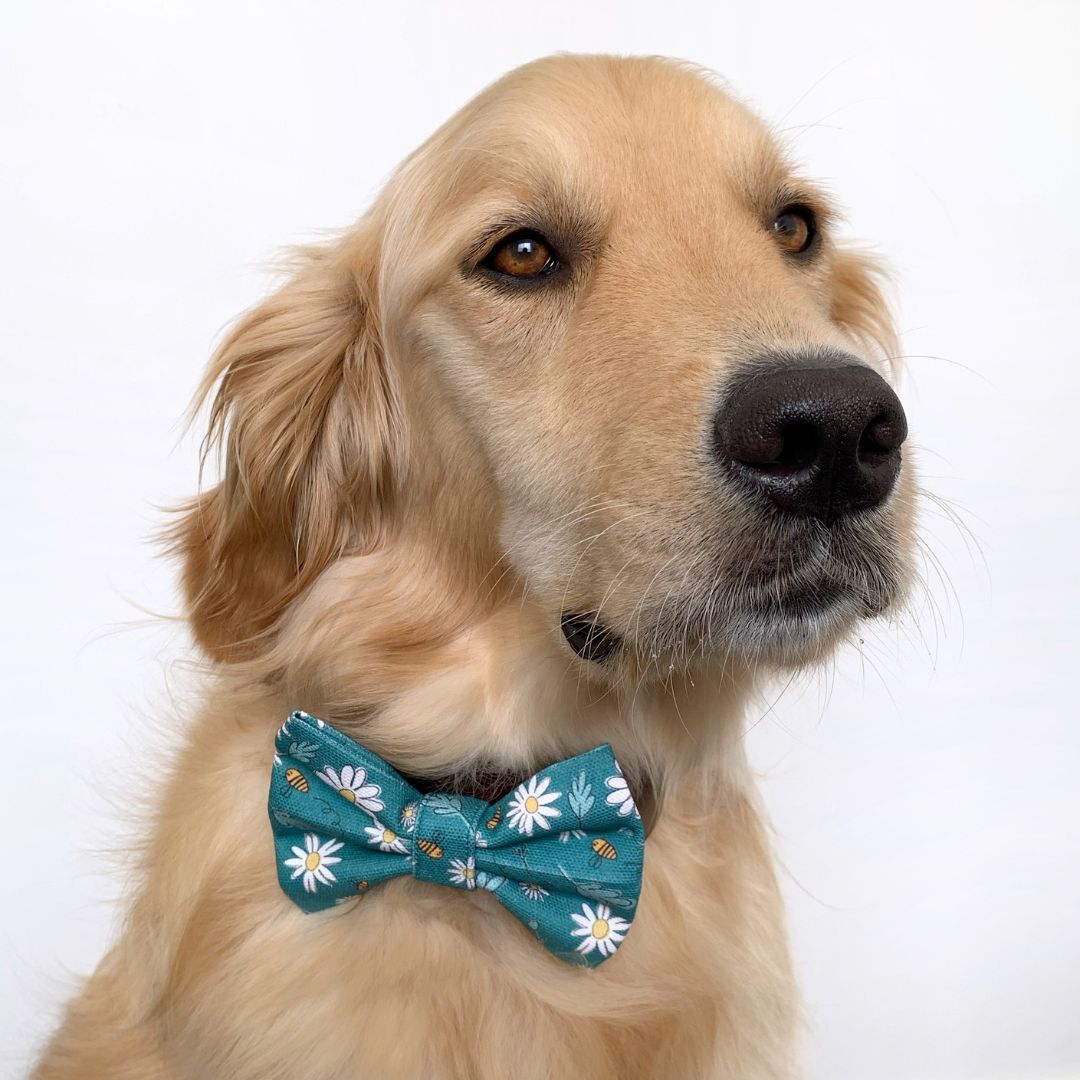 Green Bee Days Dog Bow Tie