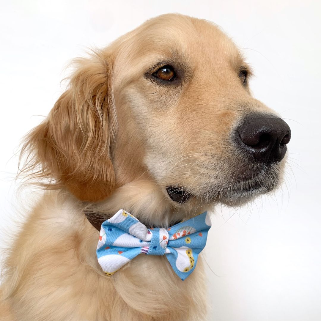 Floral Eggs Dog Bow Tie