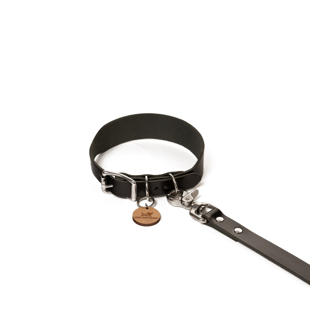 Leather Dog Collar - Black & Stainless Steel
