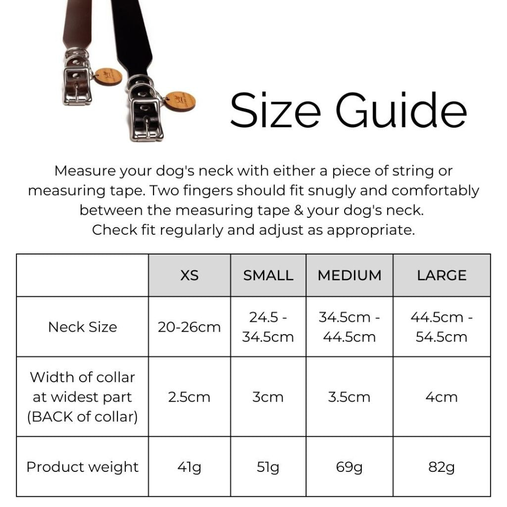 Leather Dog Collar - Dark Brown & Stainless Steel
