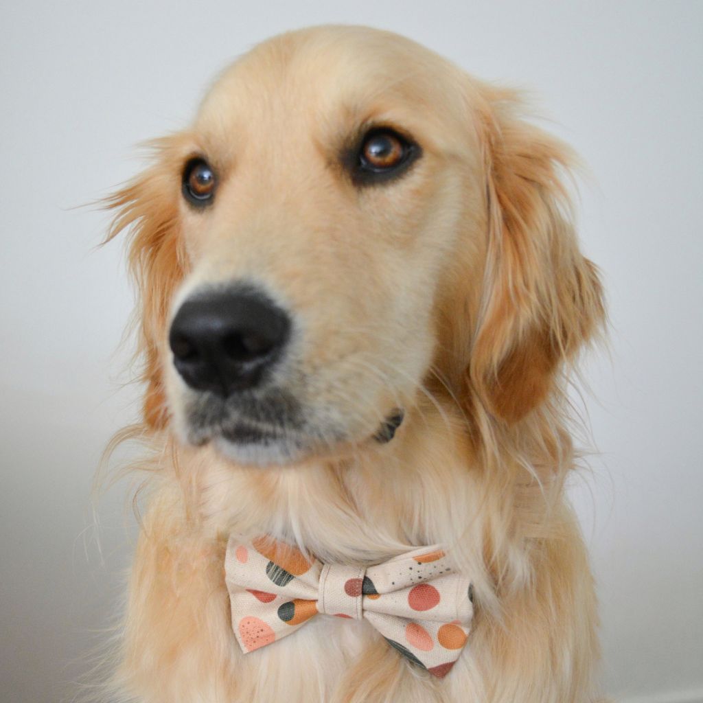 Sandy Pebbles Dog Bow Tie