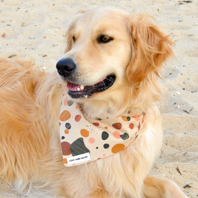 Sandy Pebbles Dog Bandana