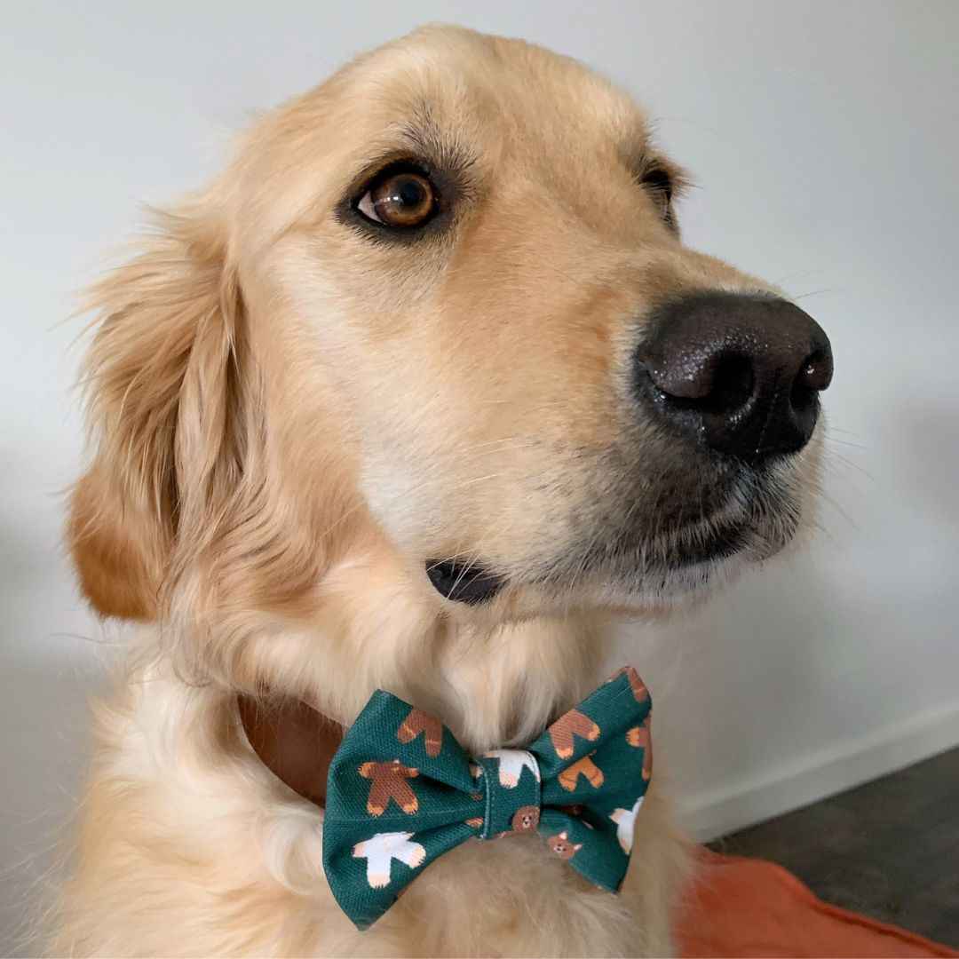 Gingerbread Furiends Dog Bow Tie