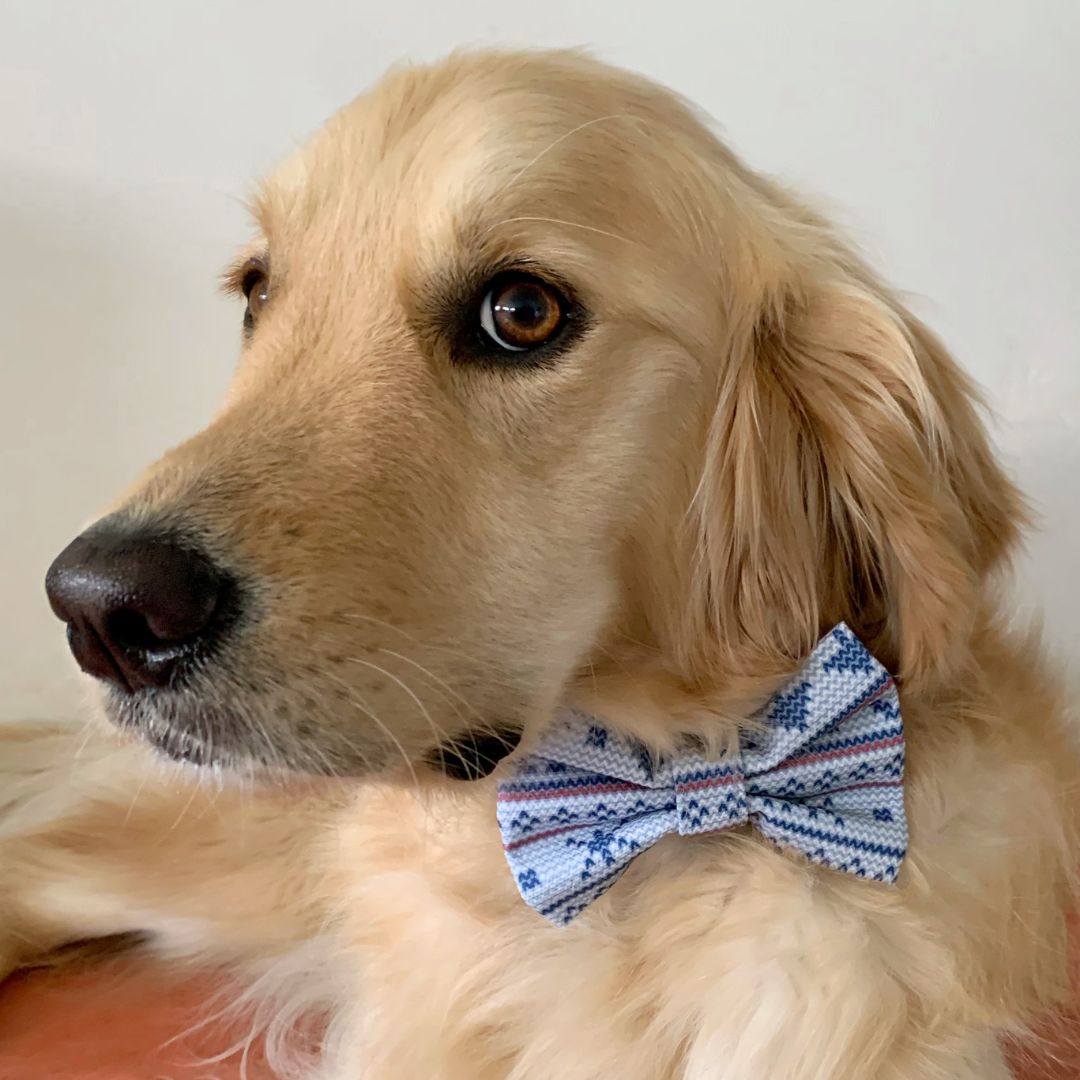 My Not-So-Ugly Christmas Sweater Dog Bow Tie (BLUE)