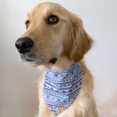 My Not-So-Ugly Christmas Sweater (BLUE) - Dog Bandana