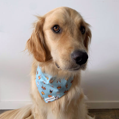 Easter Buddies Dog Bandana