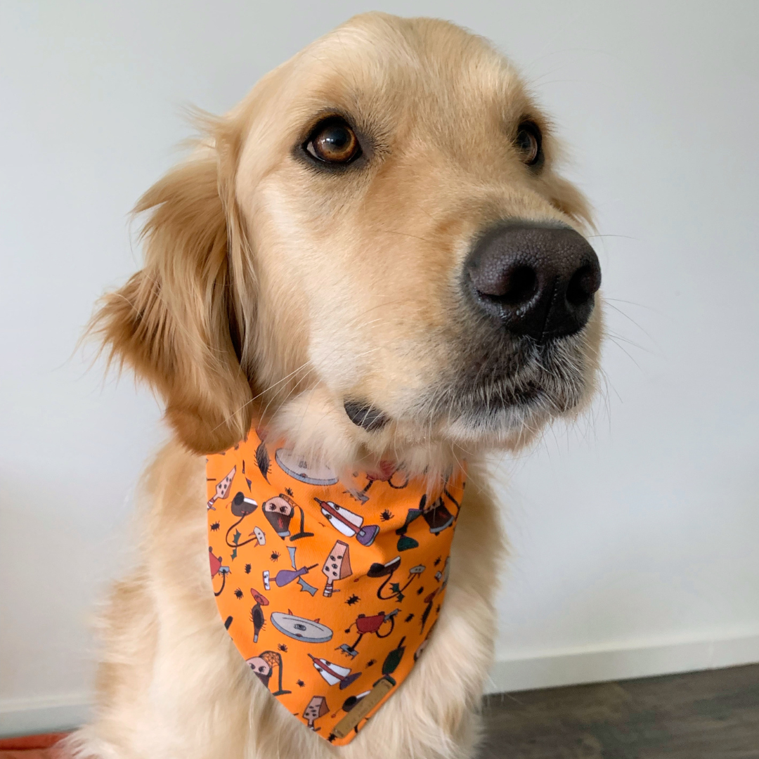 Vacuum Screamers Halloween Dog Bandana