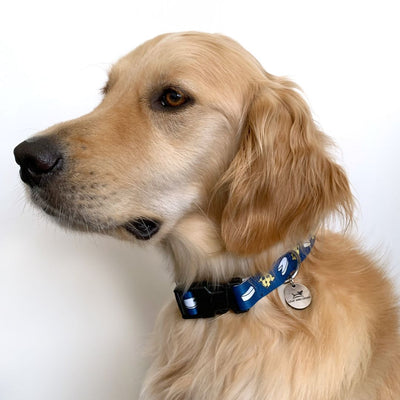 Un-Brie-lievable Dog Collar